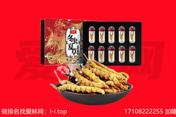 定西安定区回收虫草.jpg